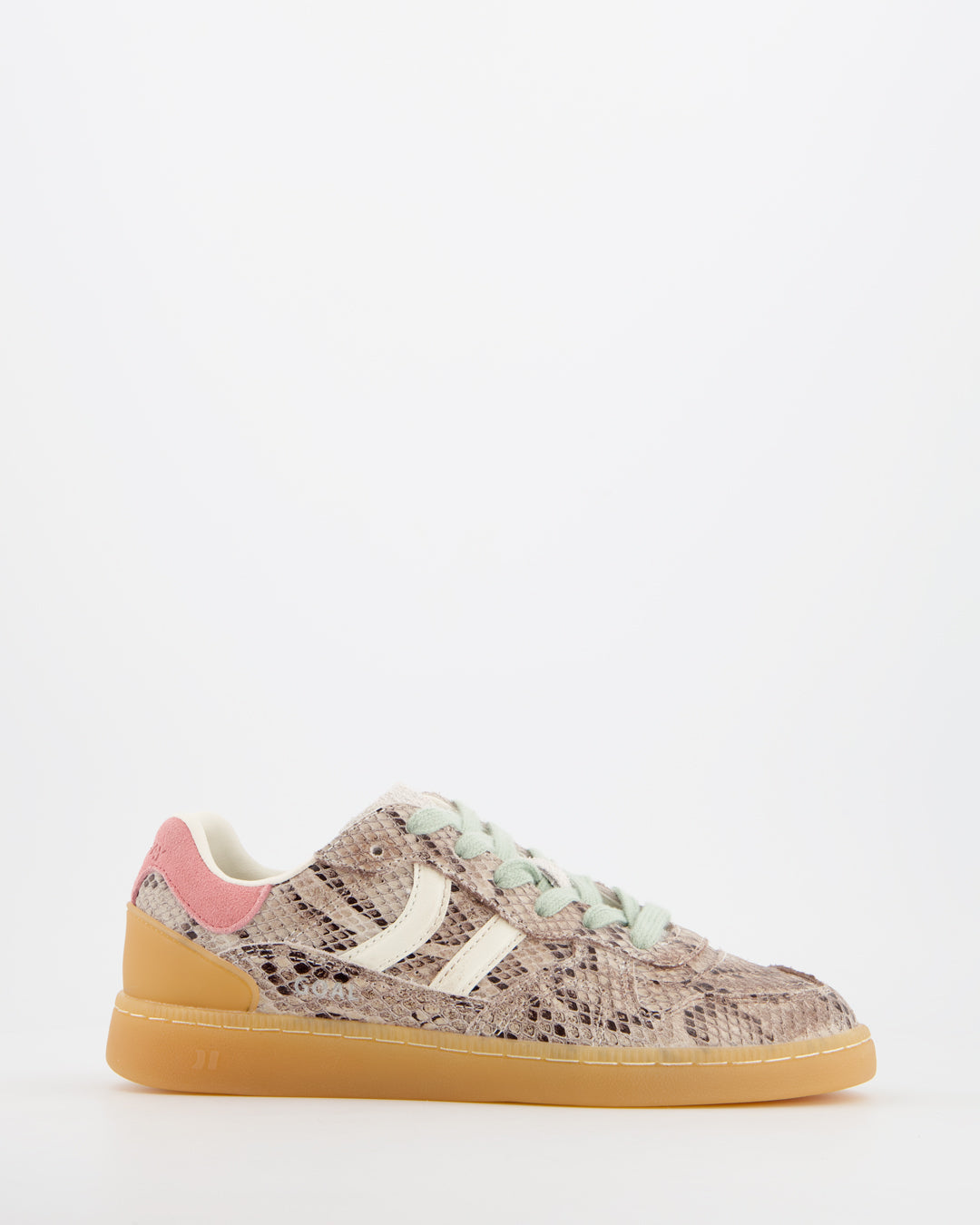 Goal Roar Flux