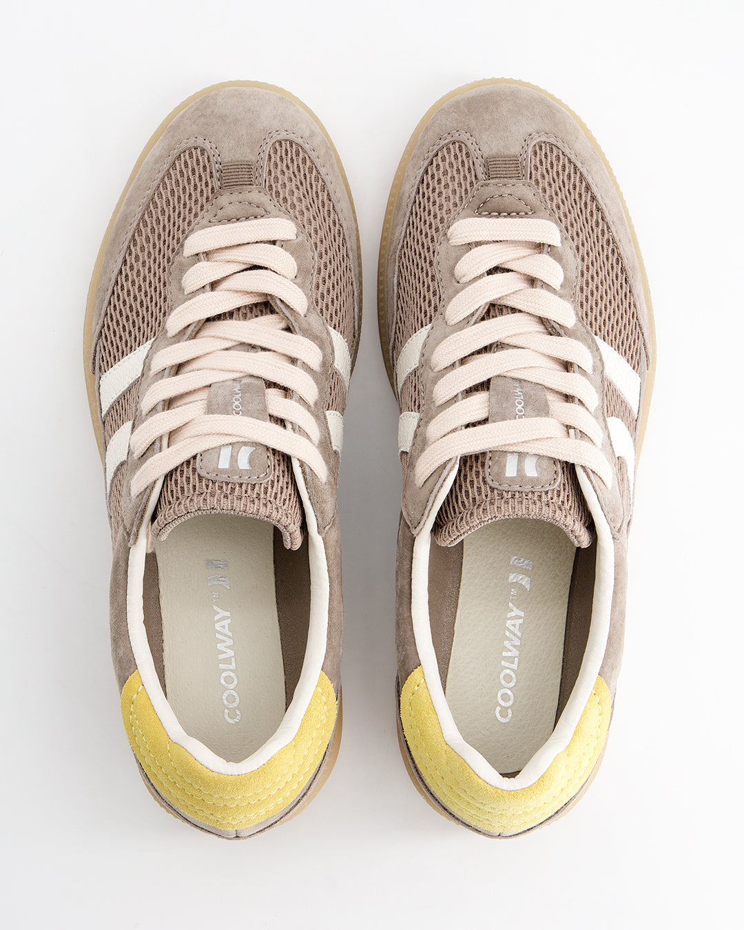 Baresi Urban Terra